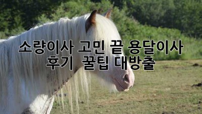 소량이사 고민 끝! 용달이사 후기 & 꿀팁 대방출 🚚💨