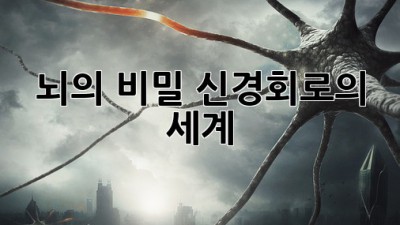 뇌의 비밀, 신경회로의 세계